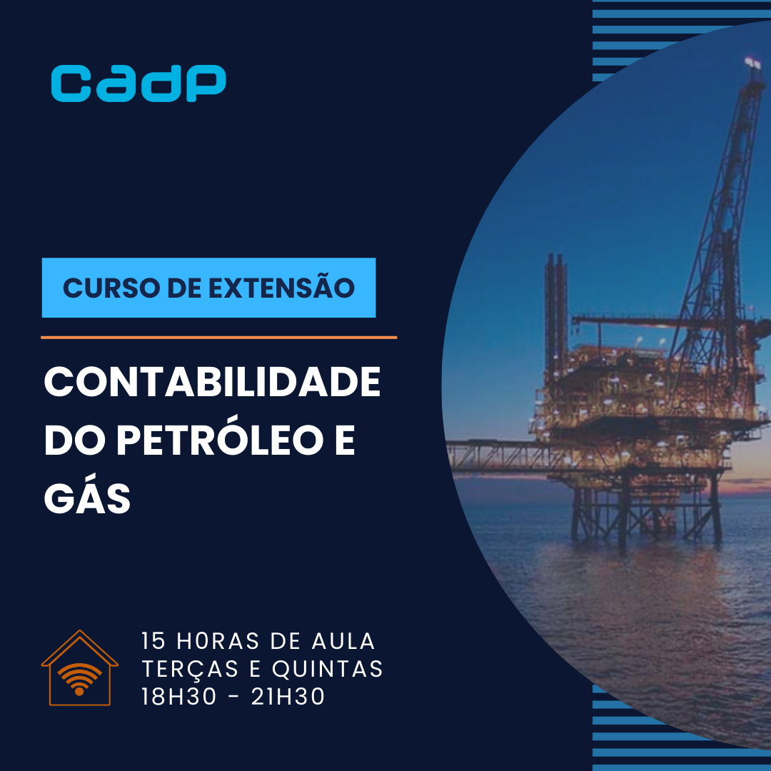 Contabilidade bsica da indstria de petrleo e gs (online)